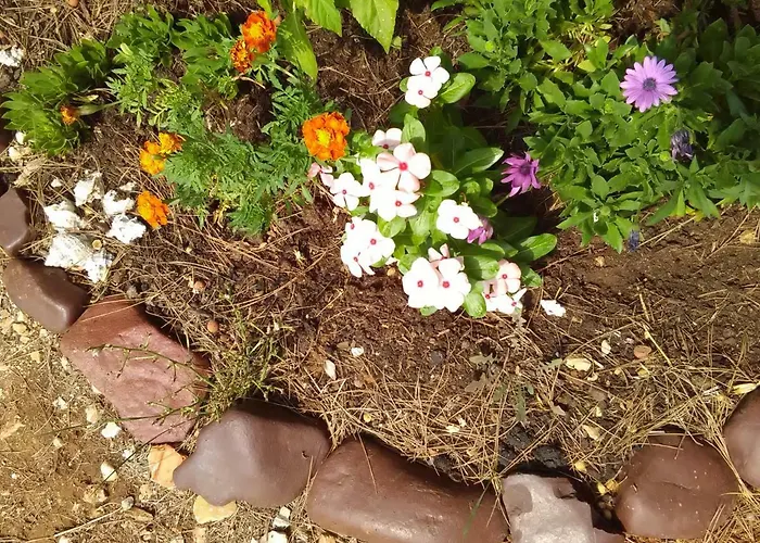 База отдыха Camp Sita 2*