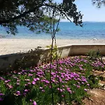 Camp Sita 维尔