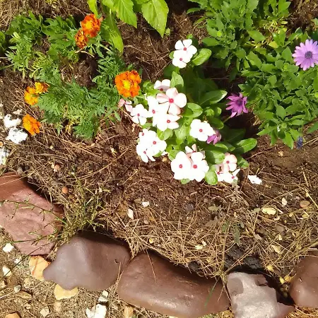 홀리데이파크 Camp Sita 2*